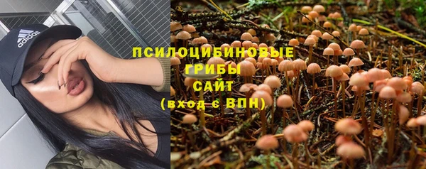 mix Аркадак