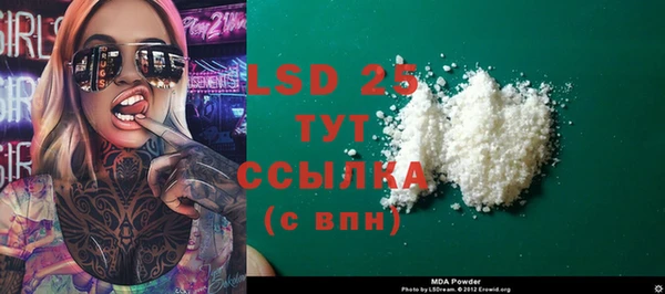 твердый Гусев